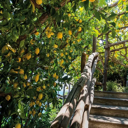 سانتا كاتارينا 5* أمالفي